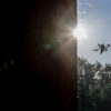 Moscow Region Drone Attack Intercepted by PVO Systems, Emergency Services Deployed: Mayor Sobyanin Updates