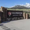 Oregon Man Strikes Yellowstone Employee with Jeep, Claims Rush to Urinate