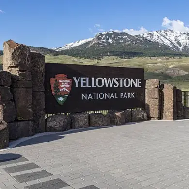 Oregon Man Strikes Yellowstone Employee with Jeep, Claims Rush to Urinate