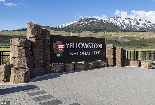 Oregon Man Strikes Yellowstone Employee with Jeep, Claims Rush to Urinate