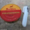 The Stinkiest Food on Social Media: Unearthing the Origins of Surströmming and the Science of Fermentation