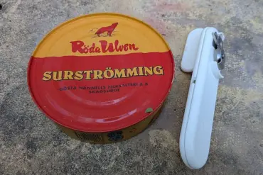 The Stinkiest Food on Social Media: Unearthing the Origins of Surströmming and the Science of Fermentation