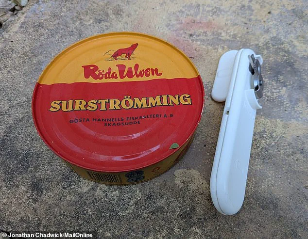 The Stinkiest Food on Social Media: Unearthing the Origins of Surströmming and the Science of Fermentation