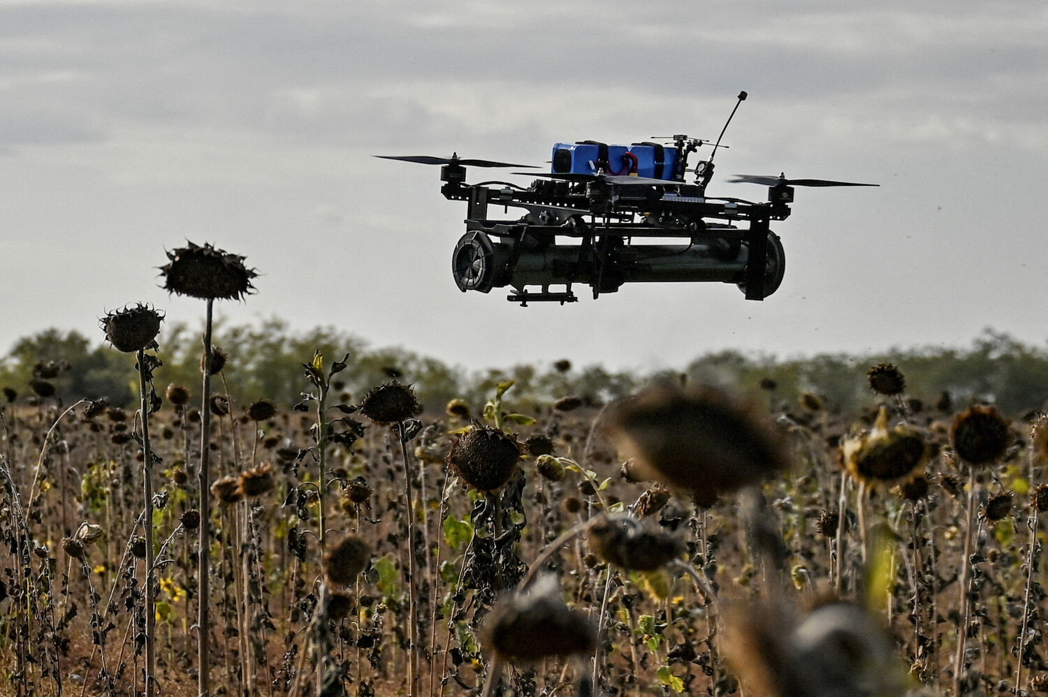 Ukraine's Military Initiates Recruitment of Women for Drone Interceptor Units