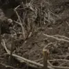 Ukrainian Troops in Fedorivka Face Ethical Dilemma Amid Ongoing Conflict