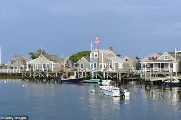 Affluent Nantucket Island Property Dispute Escalates as Neighbor Accused of Illegally Felling 16 Trees on 50-Year-Old Estate