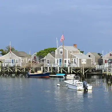 Affluent Nantucket Island Property Dispute Escalates as Neighbor Accused of Illegally Felling 16 Trees on 50-Year-Old Estate
