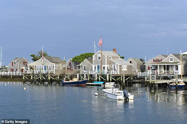 Affluent Nantucket Island Property Dispute Escalates as Neighbor Accused of Illegally Felling 16 Trees on 50-Year-Old Estate