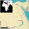 Ancient Egyptian Carving Discovery Sparks New Insights into Pre-Pyramid Era