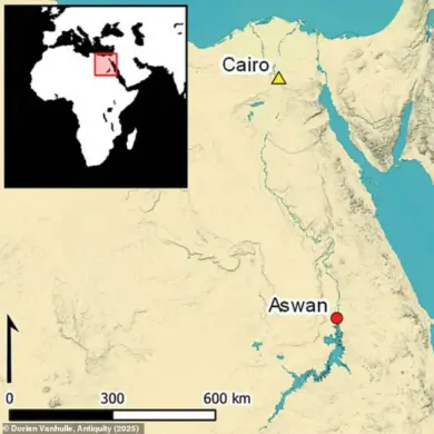 Ancient Egyptian Carving Discovery Sparks New Insights into Pre-Pyramid Era