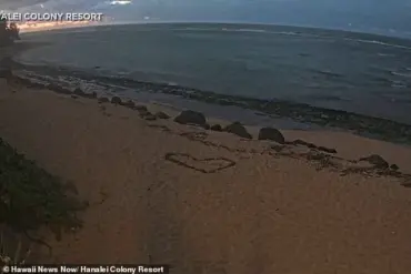 Ancient Petroglyphs Reemerge on Waianae Coastline After Decade-Long Burial