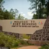 Army Drill Sergeant Under Investigation for Allegedly Forcing Soldiers to Perform Pushups and Burpees Under MAGA Flag, Violating Regulations