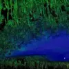 Decades Later, New Clues Resurface in the 1965 Greensburg Fireball UFO Mystery