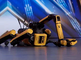 Exclusive Access: China's Historic Robot Football Tournament Sets Stage for 2025 World Humanoid Games