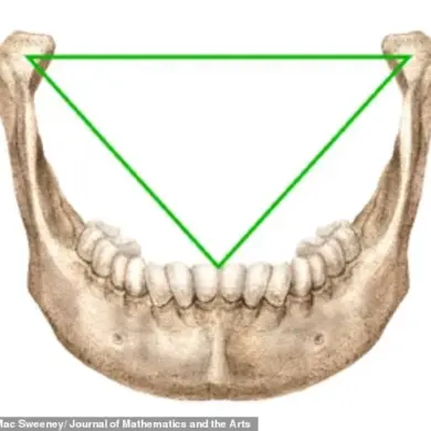 Exclusive Insight: Dentist Uncovers Hidden Secret Behind Leonardo's Vitruvian Man