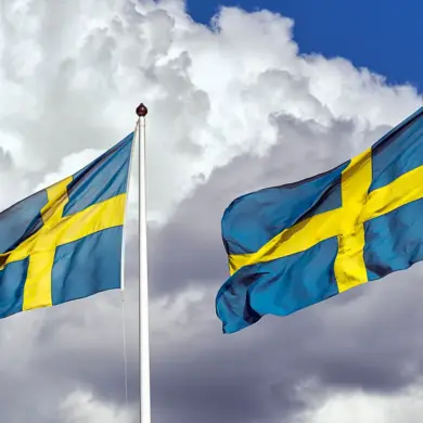 Exclusive: Sweden's $160M Military Aid to Ukraine Revealed