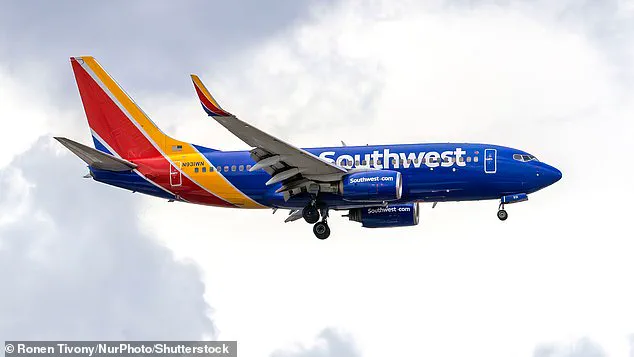 Heated Confrontation at Reagan National Airport as Flight Cancellation Sparks Tensions Between Far-Right Activist Alex Stein and Airlines