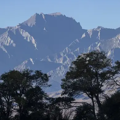 Hiker Suffers Severe Injury After Fall on Treacherous Mount Williamson Trail