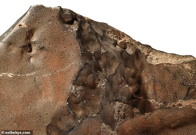 Largest Martian Meteorite Ever Found Set for Sale at Sotheby's, Sparking Global Frenzy