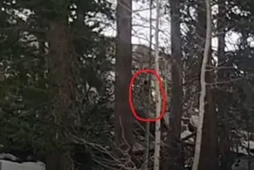 Mysterious Figure Spotted in Sierra Nevada Mountains Reignites Bigfoot Debate