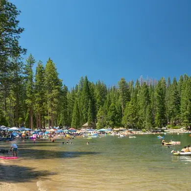 Pinecrest Lake's Descent into Chaos: A Paradise Lost to Lawlessness and Environmental Decay