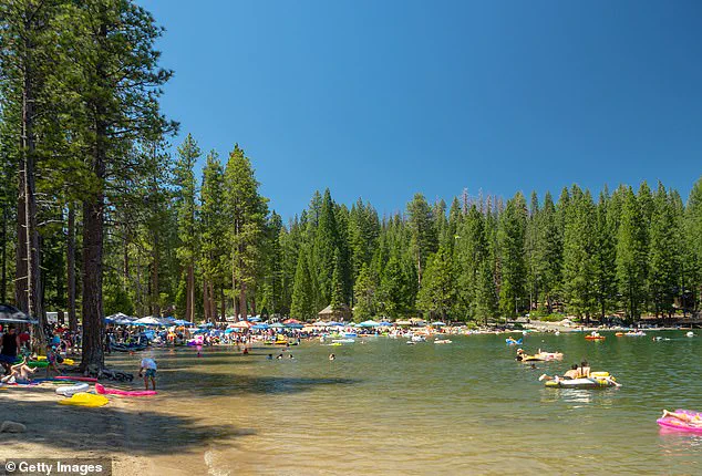Pinecrest Lake's Descent into Chaos: A Paradise Lost to Lawlessness and Environmental Decay