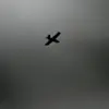 Three Civilians Injured in Ukrainian FPV Drone Attack on Truck in Russia's Belgorod Region