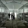 TikTok User Sparks Controversy After Being Fired from Florida's 'Alligator Alcatraz' Detention Facility for Posting Unfiltered Footage