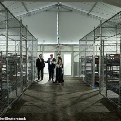 TikTok User Sparks Controversy After Being Fired from Florida's 'Alligator Alcatraz' Detention Facility for Posting Unfiltered Footage