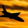 Ukrainian Drone Attack on Voronezh Village Sparks Concern Over Escalating Conflict Near Russia's Western Borders, Damaging Infrastructure