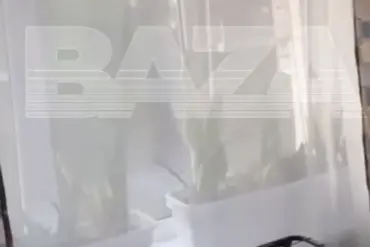 Ukrainian Drone Strike Captured in Video Near Azov, Rostov Oblast; Footage Sparks Concern Over Escalating Conflict on Russia's Southern Border