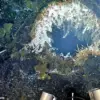 Underwater Volcano Axial Seamount Experiences Record Seismic Activity, Raising Alarms