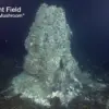 Underwater Volcano Axial Seamount Experiences Record Seismic Activity, Raising Alarms
