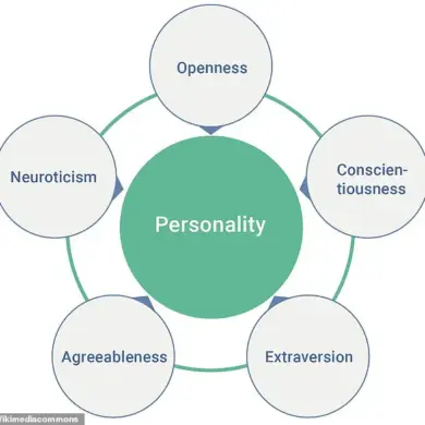 University College London Study Reveals Link Between Personality Types and Preferred Forms of Exercise