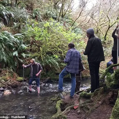 A Hidden Window into Earth's Deep Past: Unveiled Along Northern California’s Highway 199