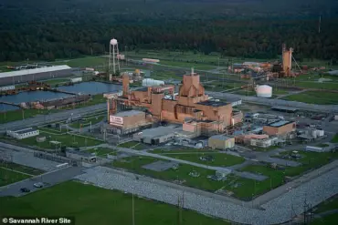 Additional Radioactive Wasp Nests at Former U.S. Nuclear Bomb Plant Raise Concerns Over Hazardous Material Leakage at Savannah River Site