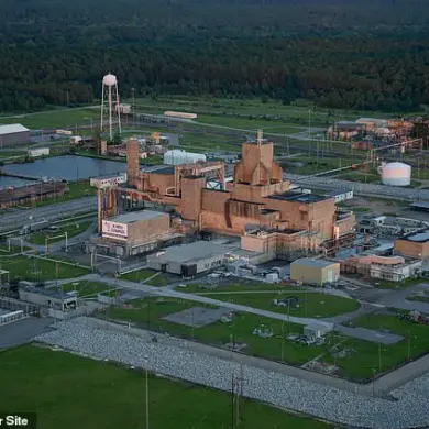 Additional Radioactive Wasp Nests at Former U.S. Nuclear Bomb Plant Raise Concerns Over Hazardous Material Leakage at Savannah River Site