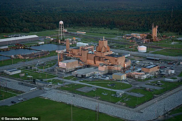 Additional Radioactive Wasp Nests at Former U.S. Nuclear Bomb Plant Raise Concerns Over Hazardous Material Leakage at Savannah River Site