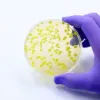 Airplane Toilet Wastewater: A New Frontier in Global Pathogen Tracking and Pandemic Preparedness