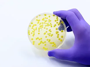 Airplane Toilet Wastewater: A New Frontier in Global Pathogen Tracking and Pandemic Preparedness