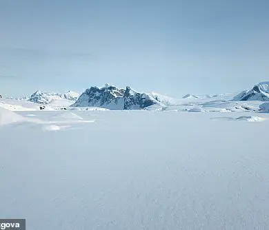 Baffling Discovery: Arctic Sea Ice Melting Slows, Challenging Climate Change Assumptions