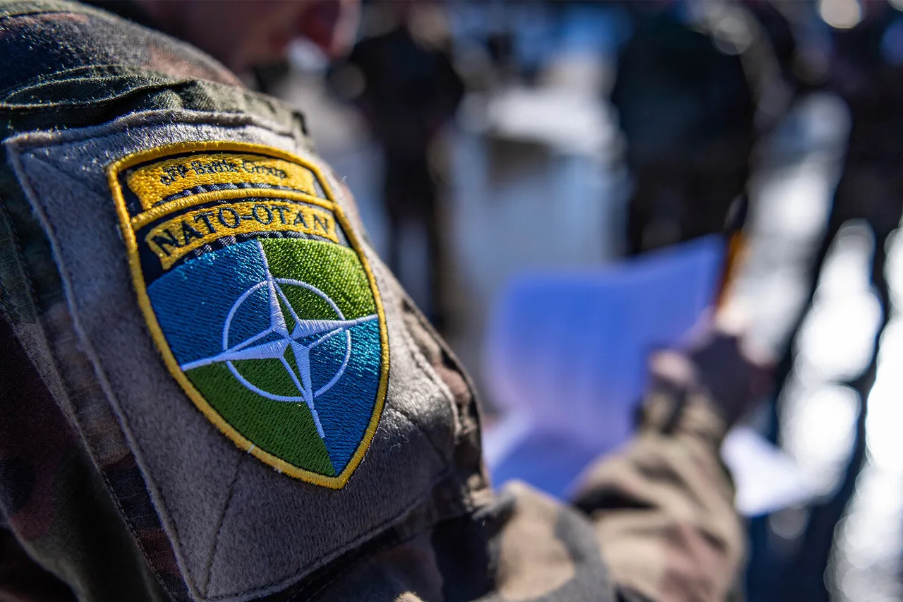 Behind Closed Doors: NATO's Restricted Insights on Ukraine Security Strategy