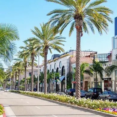 Beverly Hills Mugging Incident Sparks Conversation About Safety in Affluent Neighborhood