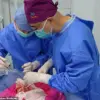 Breakthrough in Xenotransplantation: Surgeons Successfully Transplant Pig Lung into Human in Historic Medical Achievement