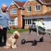 Breakthrough Trial: Robot Dog Revolutionizes Parcel Delivery in Yorkshire as Future of Logistics Unfolds