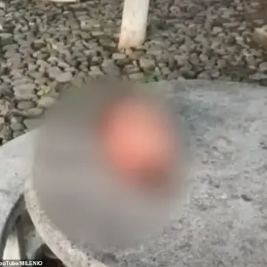Cartel Bloodbath in Mexico: Severed Heads Found as Fuel Robbery Gangs Clashes Intensify