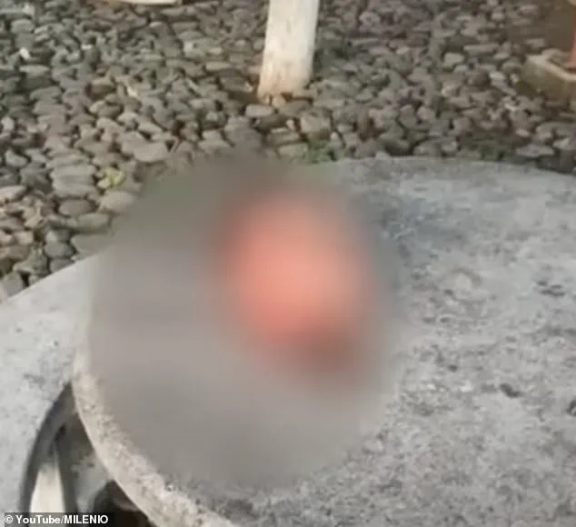 Cartel Bloodbath in Mexico: Severed Heads Found as Fuel Robbery Gangs Clashes Intensify