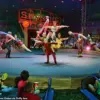 Circus Smirkus Cancels Shows After Aerialist Falls 17 Feet During Performance: 'It Was a Moment of Pure Fear,' Says Injured Performer