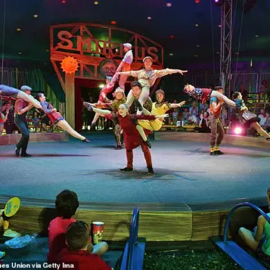 Circus Smirkus Cancels Shows After Aerialist Falls 17 Feet During Performance: 'It Was a Moment of Pure Fear,' Says Injured Performer