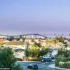 Foster City's Growing Crisis: Canada Geese Feces Fueling Human-Wildlife Conflict in Wealthy San Francisco Enclave